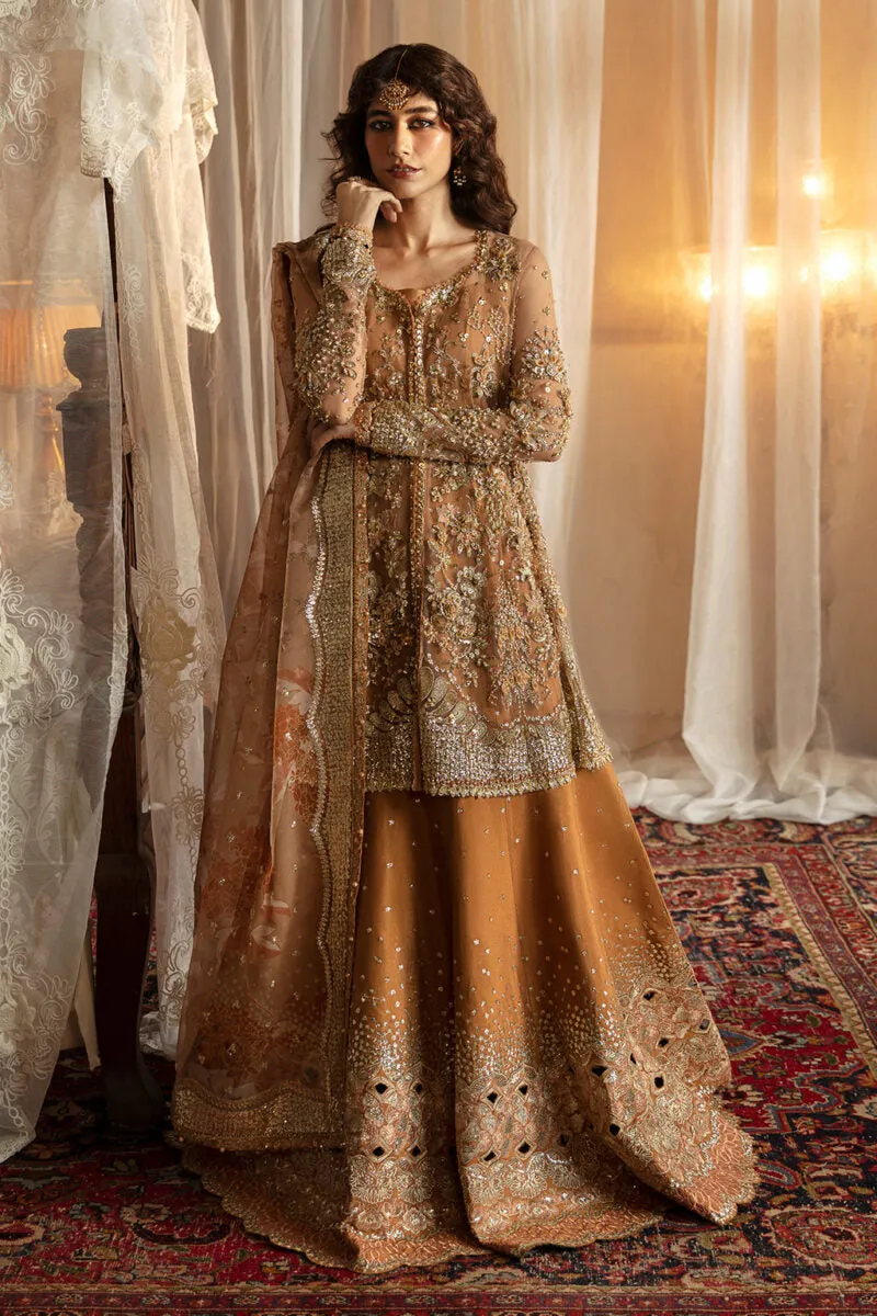 AFROZEH | Hayat Wedding Collection '24 | Nooray