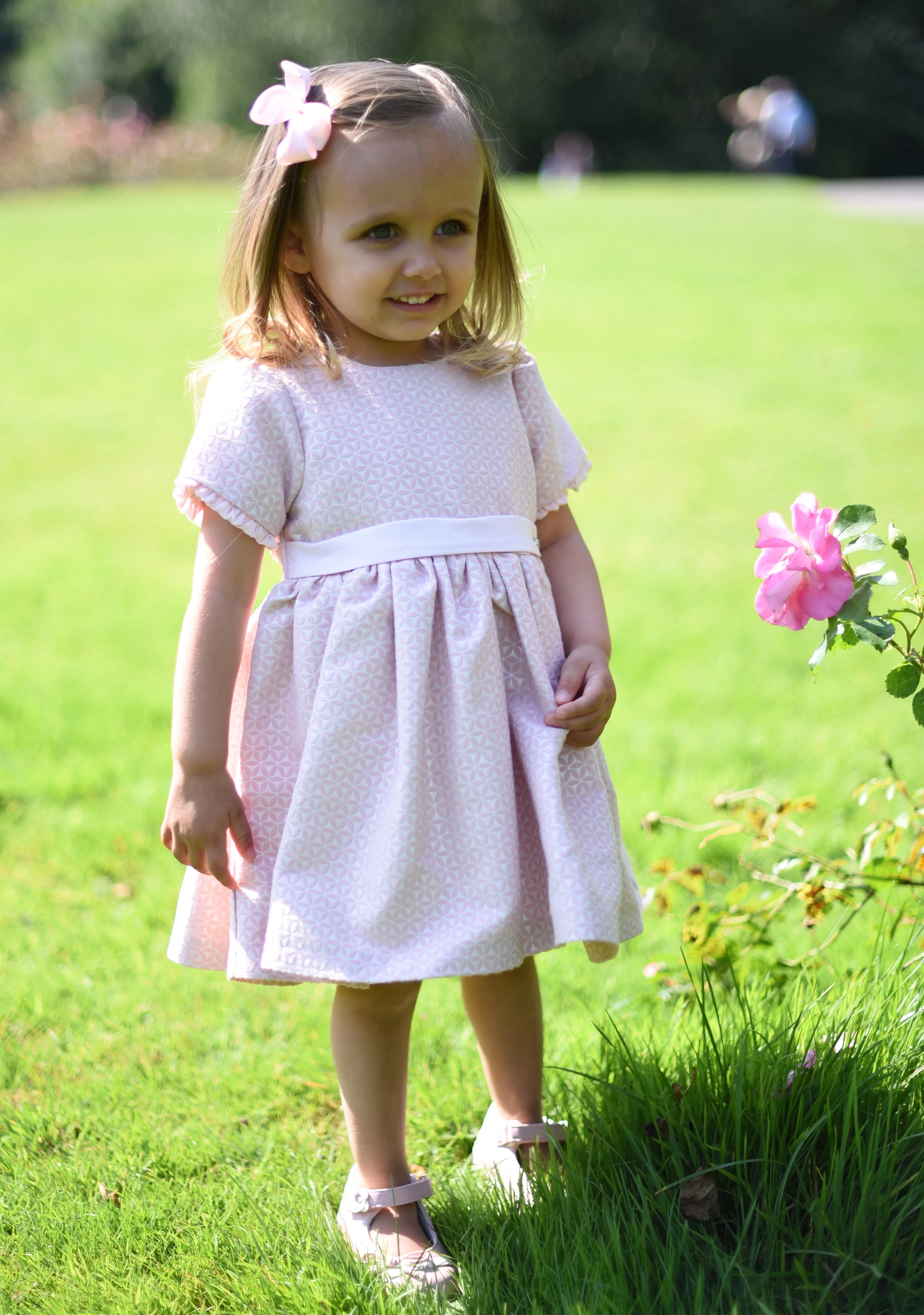 Baby Girls Pink Jacquard Dress