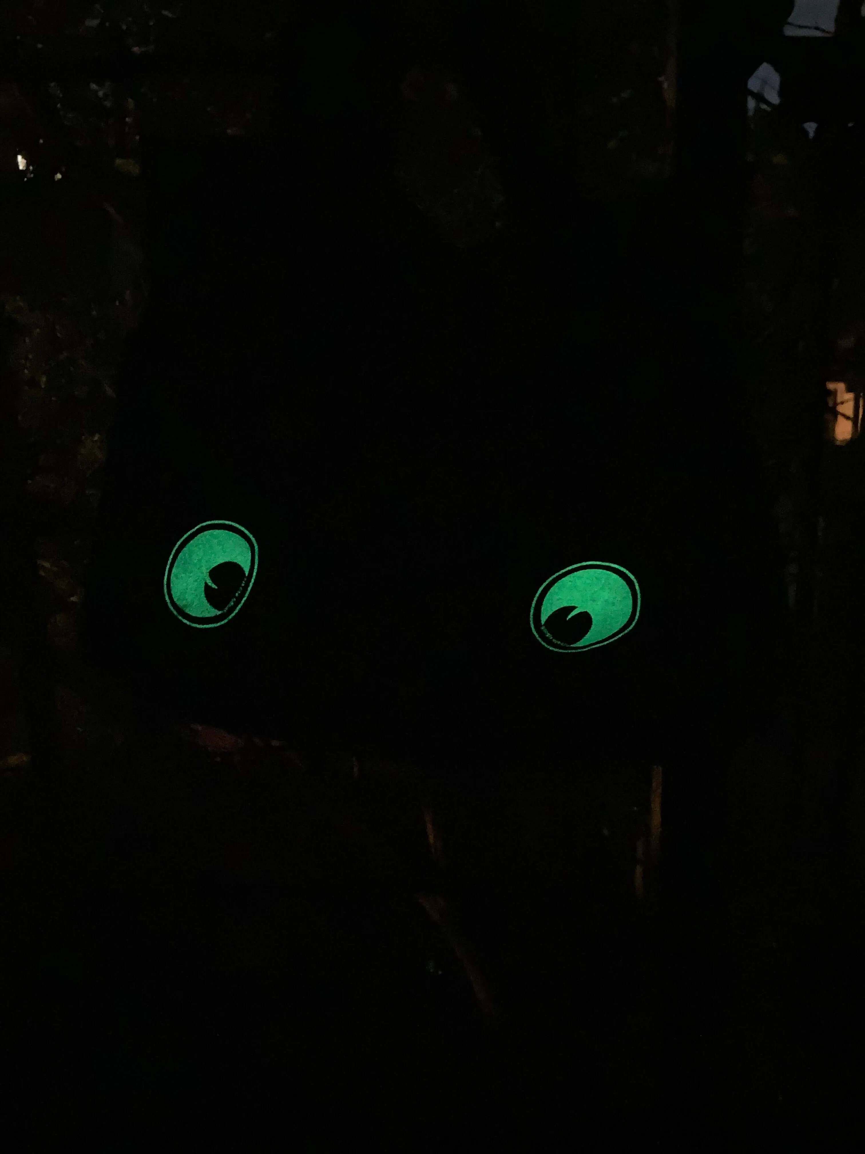 BAG:  Googly Eye Cru x Art To Ware limited edition Glow in the Dark Tote Bag