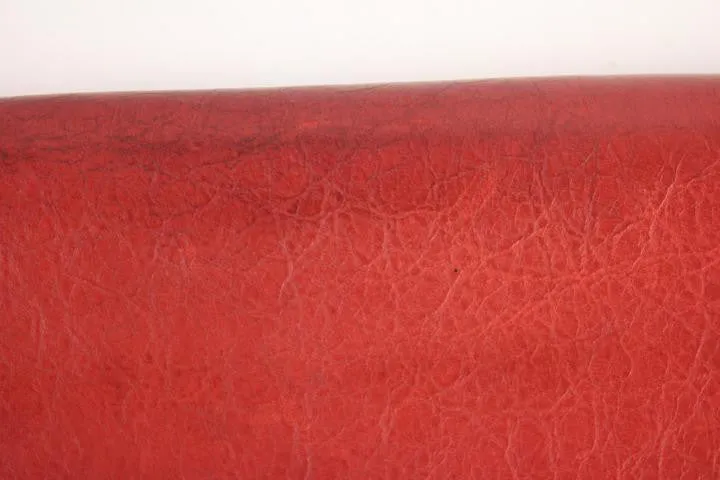 Balenciaga Zip Around Wallet 29BAL919