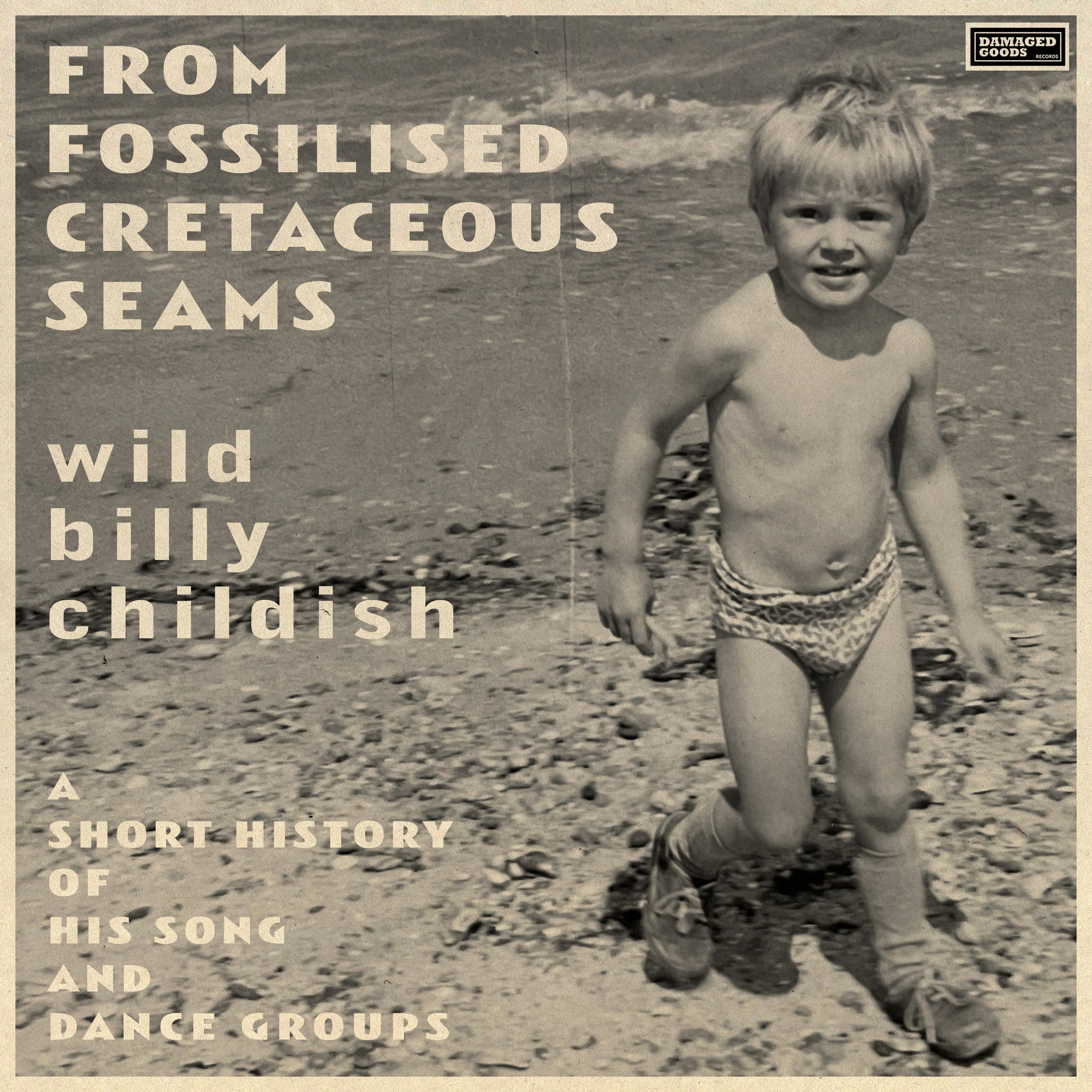 Billy Childish - From Fossilised Cretaceous Seams 2x Vinyl LP Record