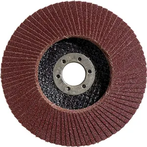 Bosch 2608603719 K60 Flap Disc for Metal, 0 V, Black/Red, 125 mm