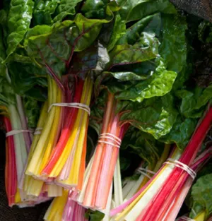 Bright Lights Swiss Chard
