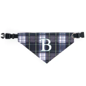 Bright School Large Dog Collar