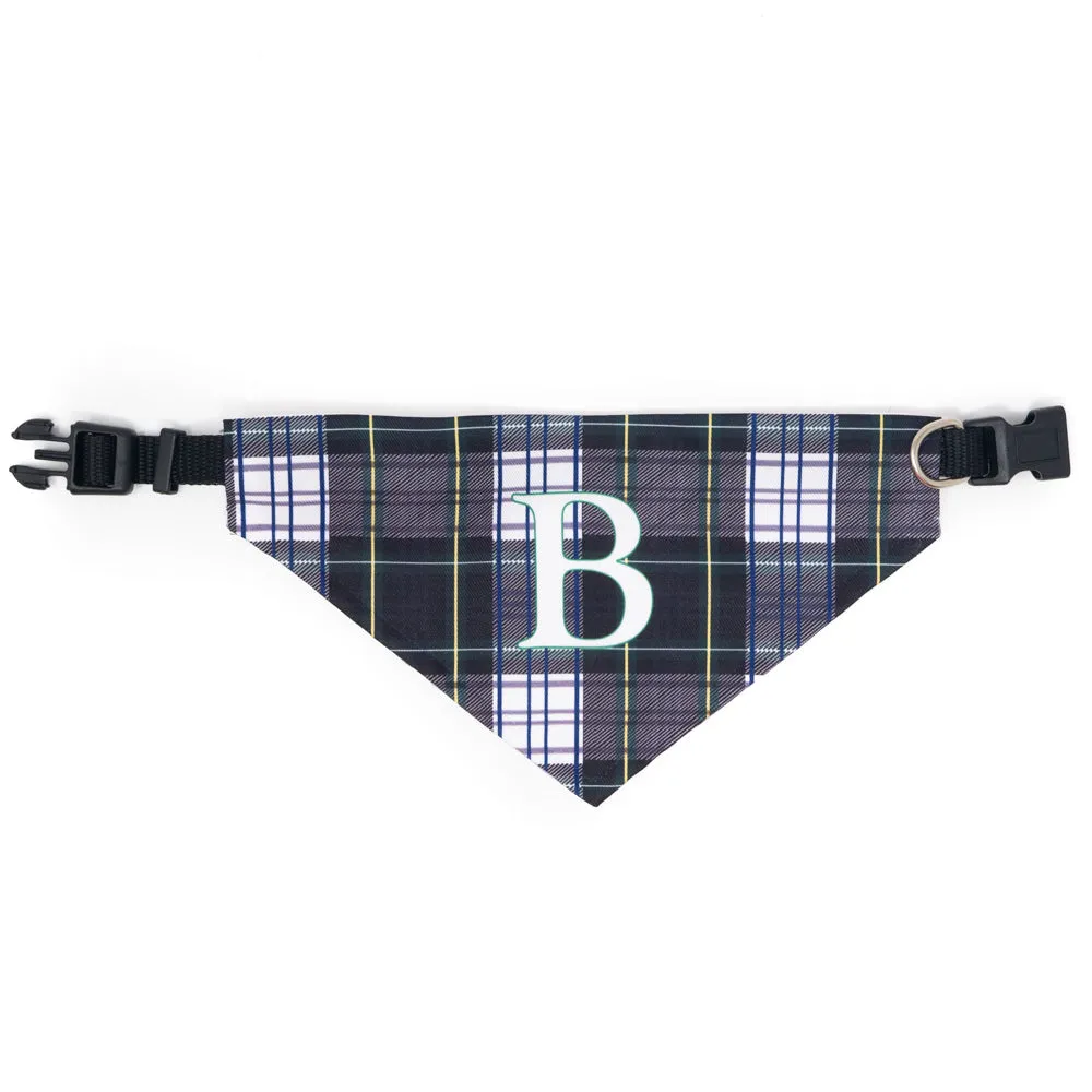 Bright School Large Dog Collar