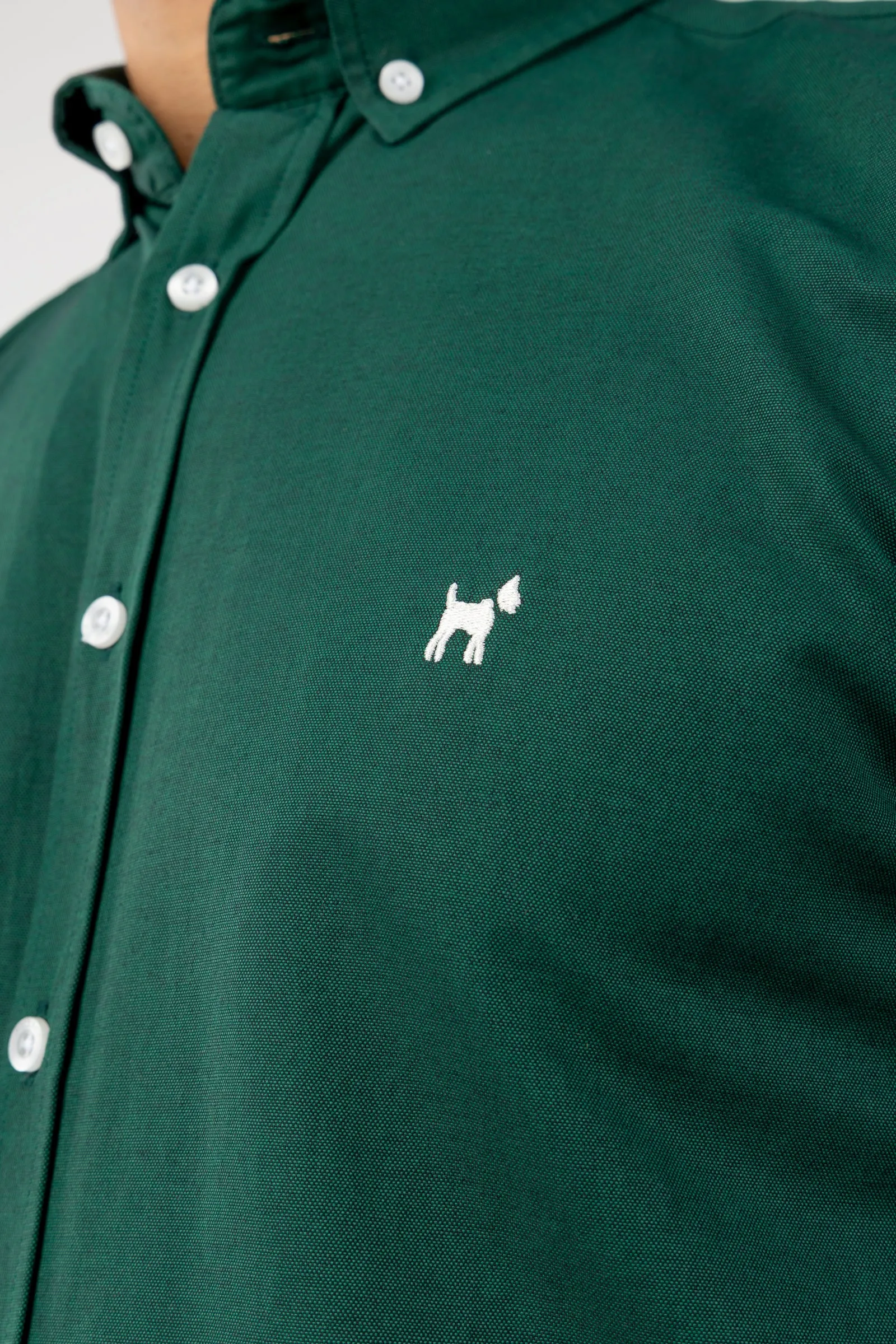 Camisa Oxford Liso V.Botella Slim