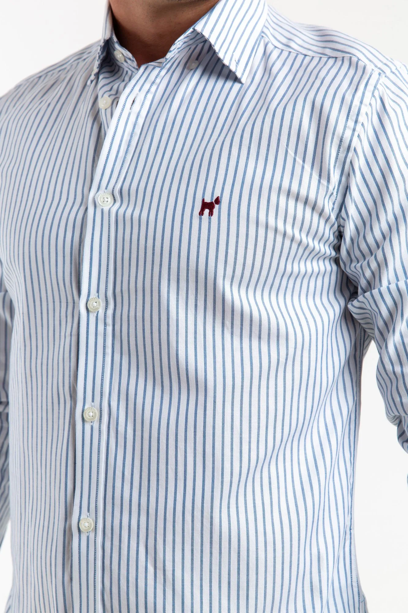 Camisa Raya Fina Oxford Petróleo Slim Fit