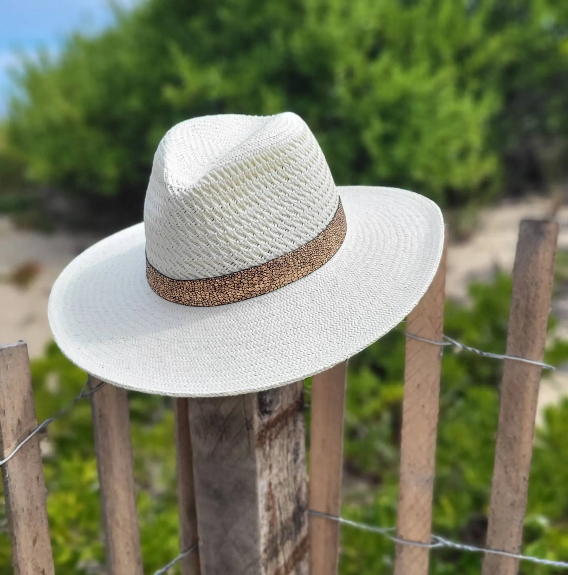 Coastal Blues Collection