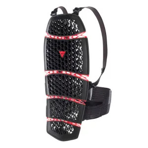 Dainese Pro-Armour Back Protection