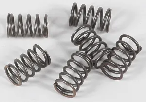 EBC CSK18 Redline Clutch Springs