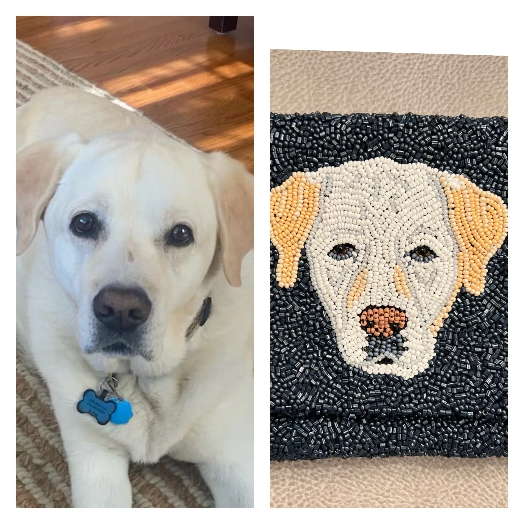 Furry Friends Coin Purse