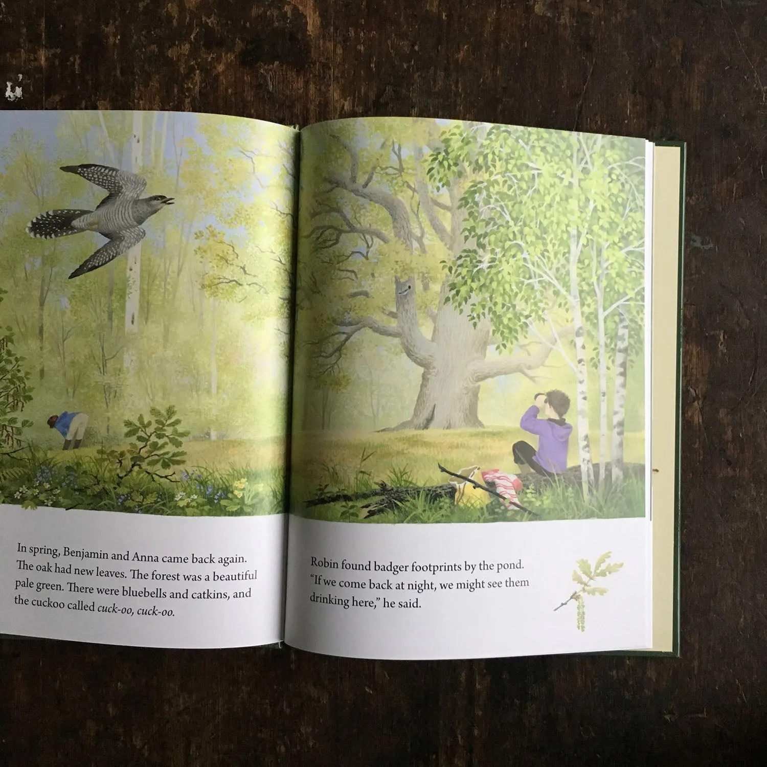 Gerda Muller - A Year Around the Great Oak