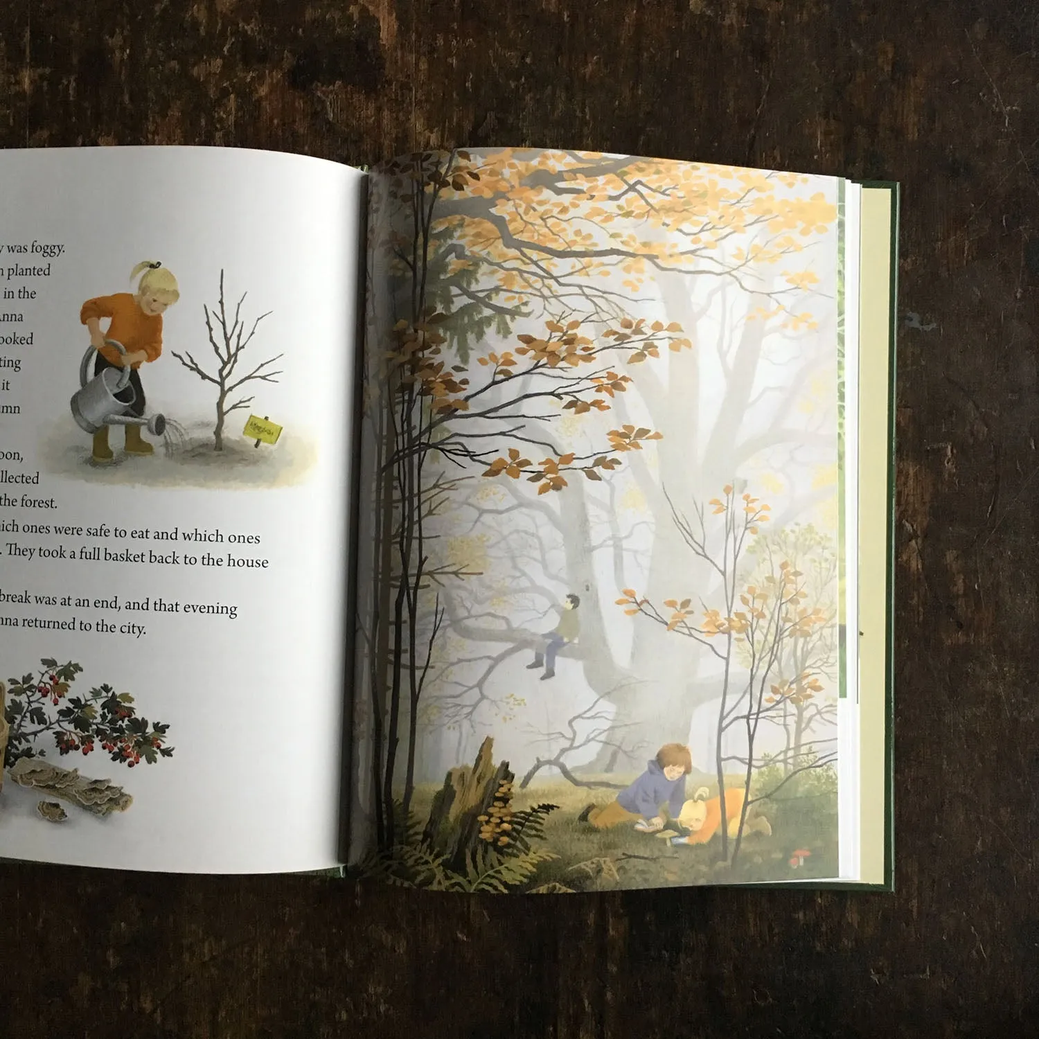 Gerda Muller - A Year Around the Great Oak