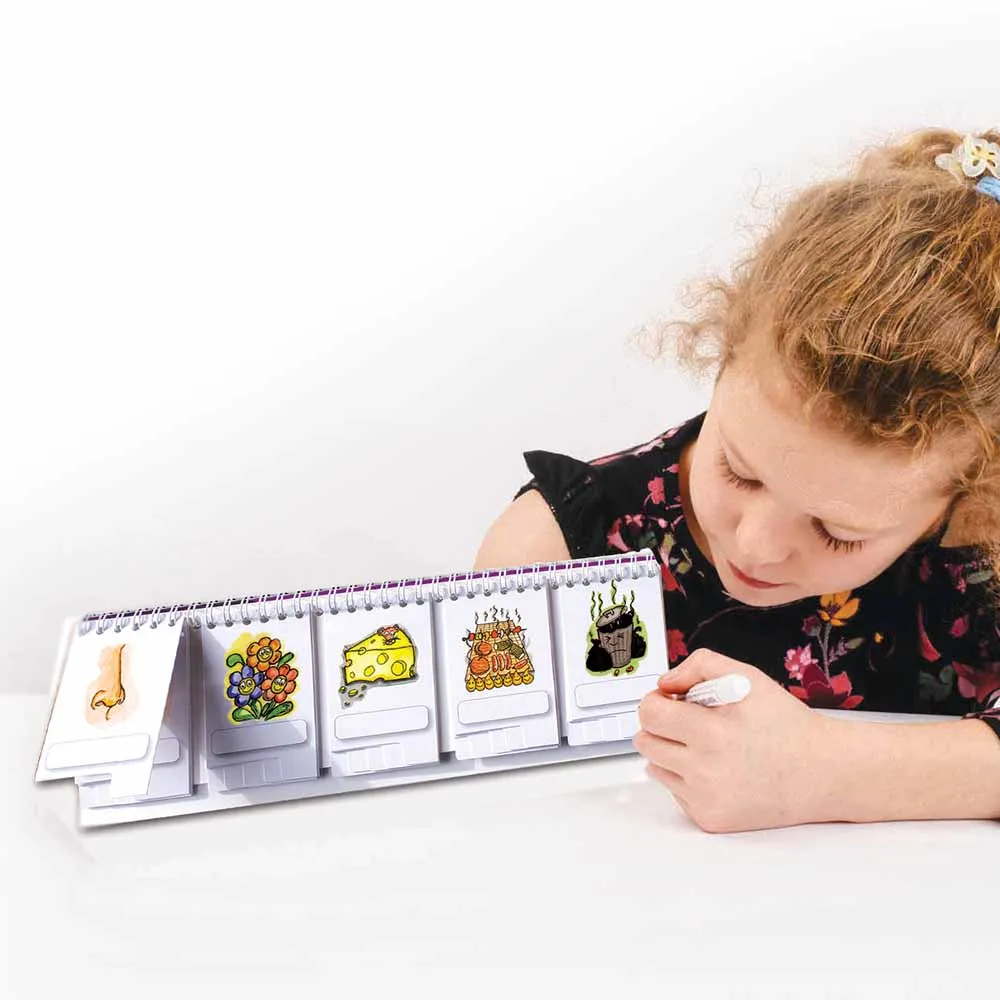 Grouping Senses Flip Book