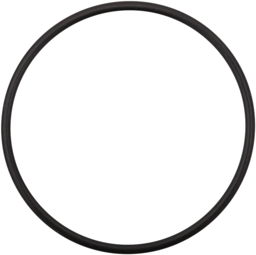 James Gasket ST-25700203 Water Pump Shaft Seal