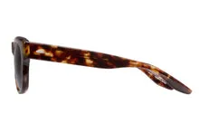 KUHIO-Chestnut / Sequoia Polarized