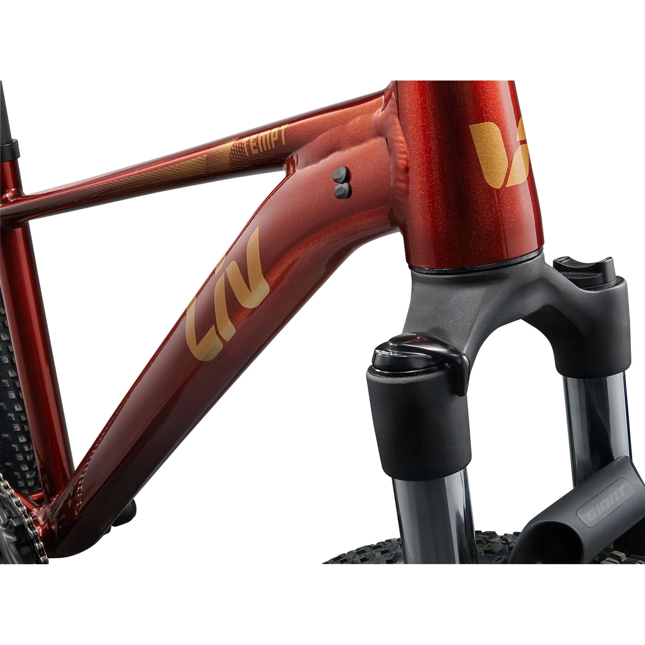 Liv 2025 Tempt 29 2 Mountain Bike