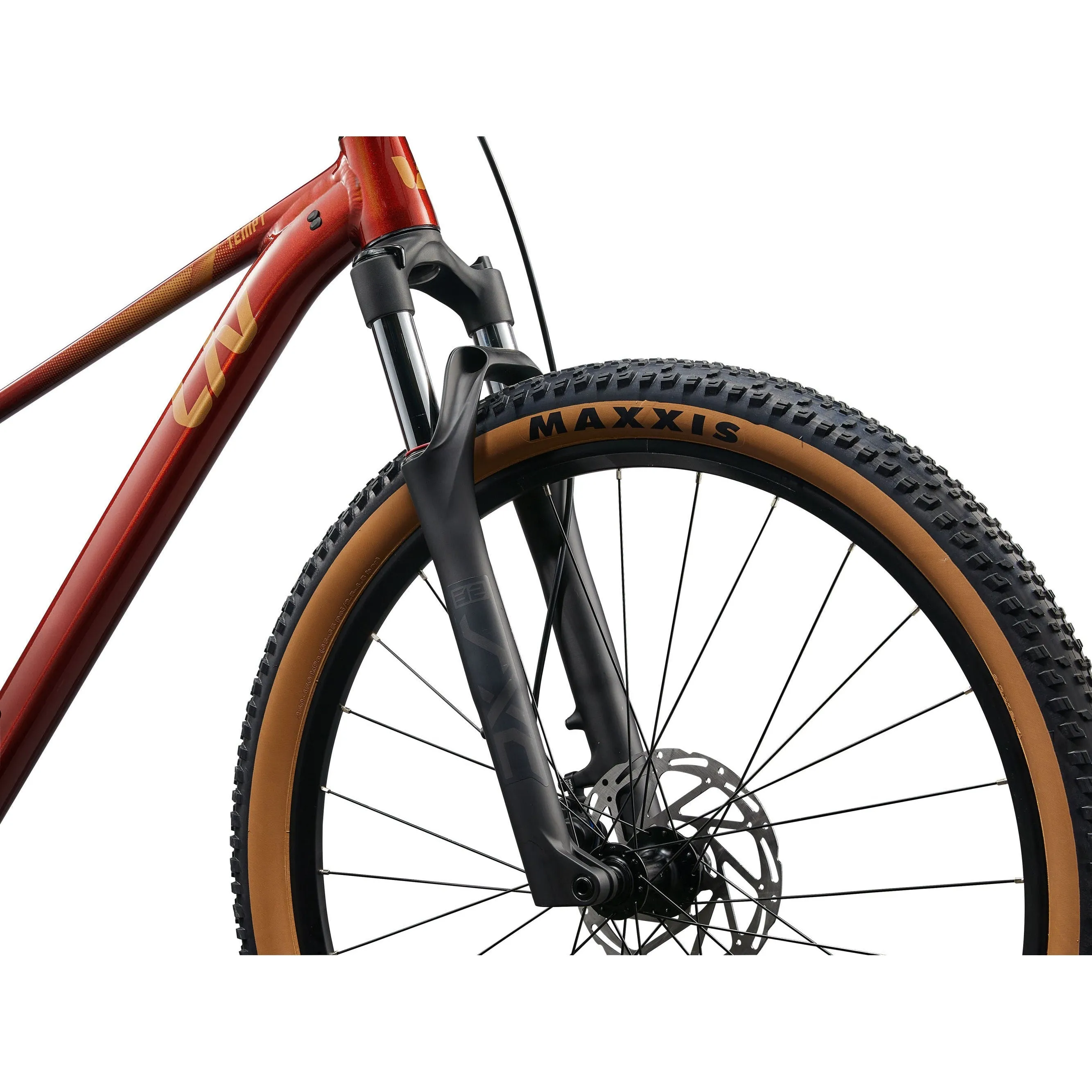 Liv 2025 Tempt 29 2 Mountain Bike