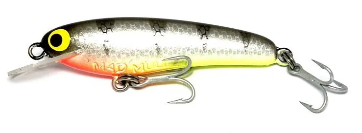 Lively Lures Mad Mullet 2.5 inch Shallow Hard Body Lure