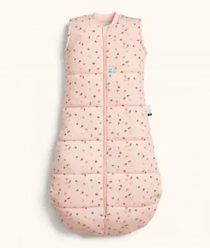 Organic Winter Jersey Sleeping Bag - Cute Fruit
