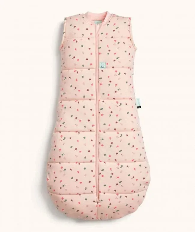 Organic Winter Jersey Sleeping Bag - Cute Fruit