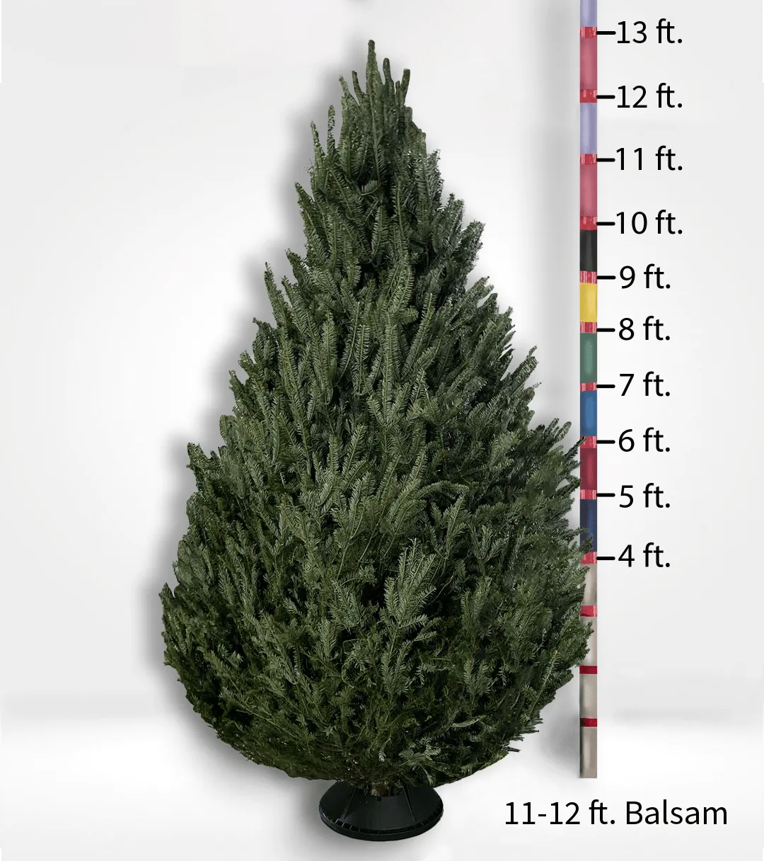 Oversized (10ft ) Fir Tree - CALL TO ORDER