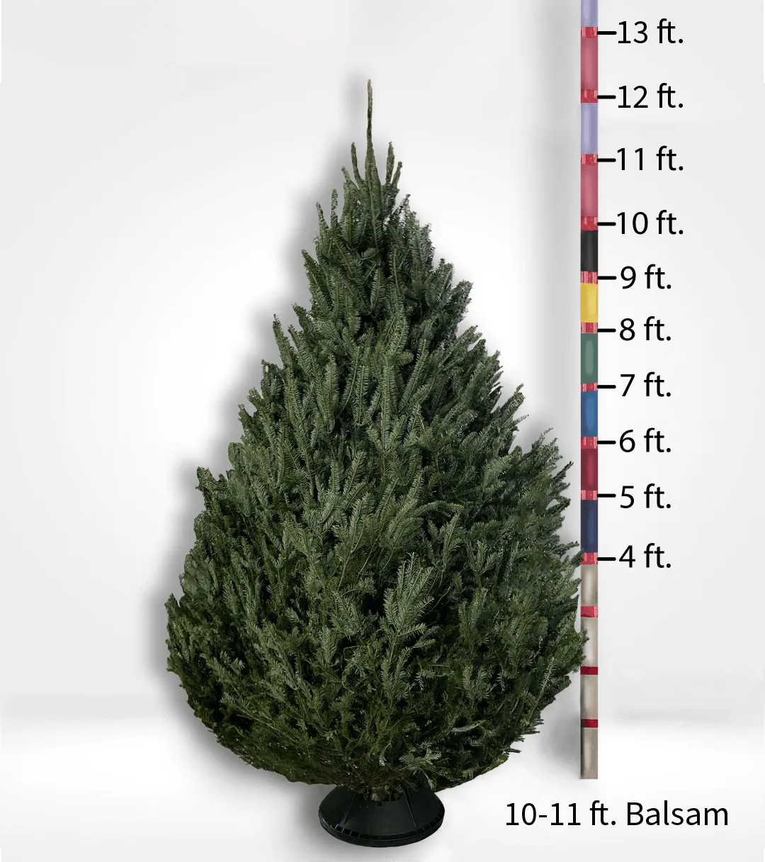 Oversized (10ft ) Fir Tree - CALL TO ORDER