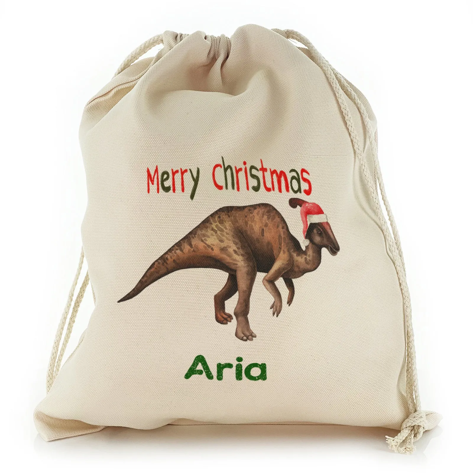 Personalised Canvas Sack with Dino Text and Santa Hat Parasaurolophus