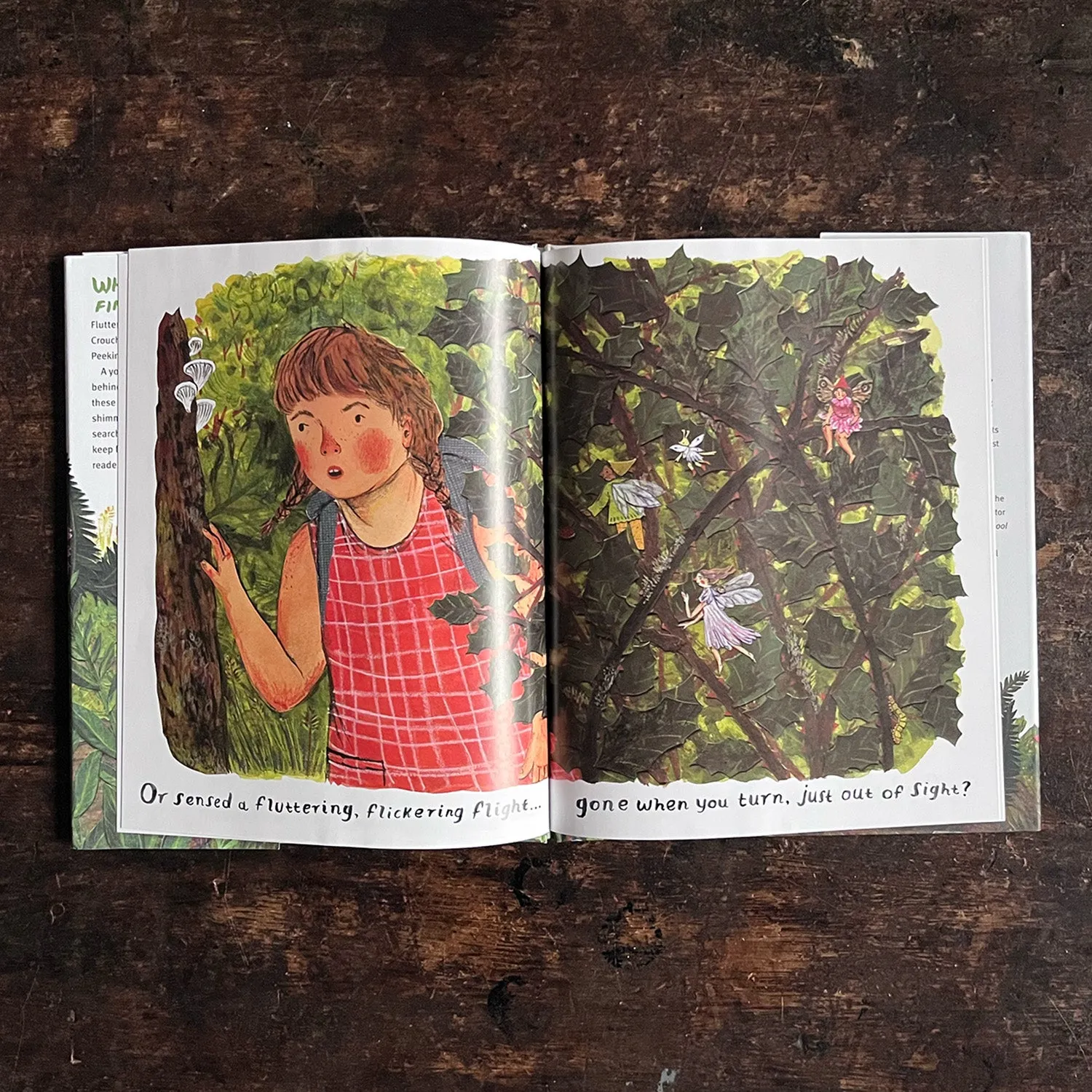 Phoebe Wahl - Backyard Fairies