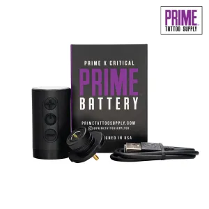 Prime Battery   Magnetic RCA Converter