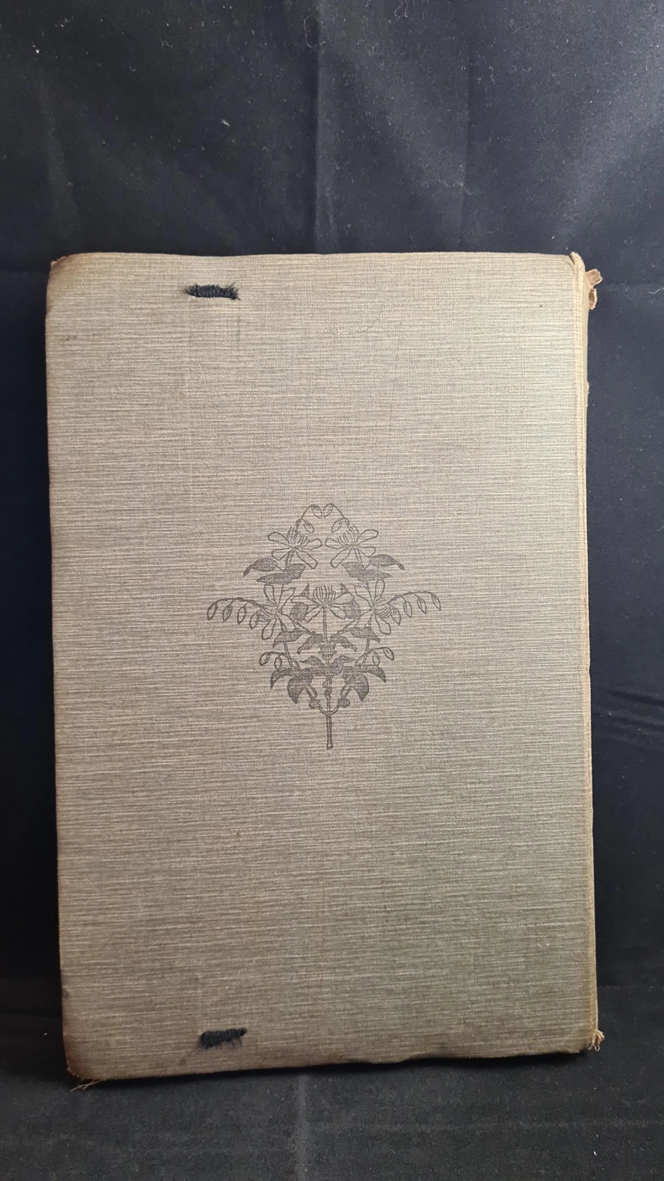 Repertoire De Couleurs II, French Edition
