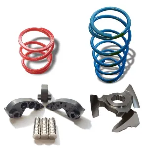 RS1 Stage 2 Clutch Kit