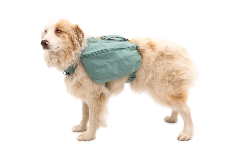 Ruffwear Front Range Day Pack