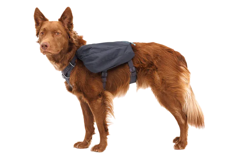 Ruffwear Front Range Day Pack