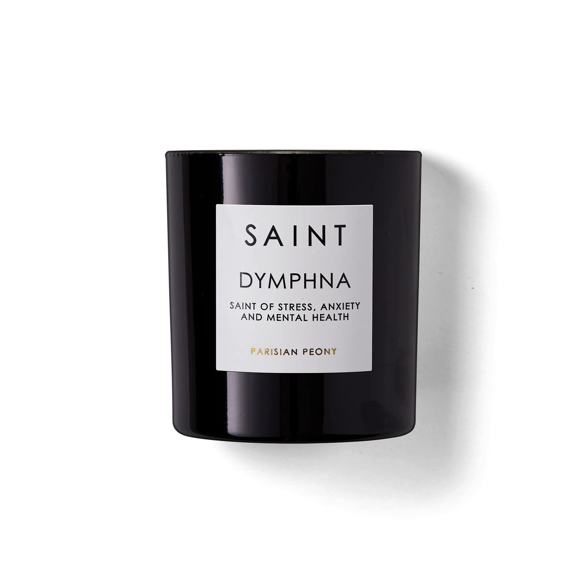 Saint Dymphna Saint of Stress, Anxiety and Mental Health