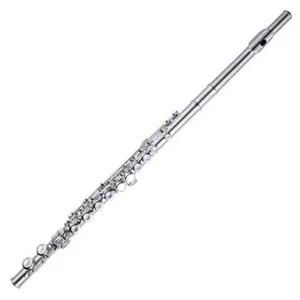 Sinclair C Flute Silver Plated, Closed Hole with Case, SFL2100