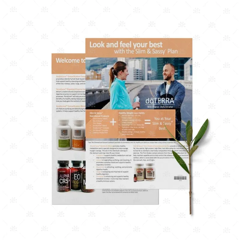 Slim & Sassy? Plan - SIngle Sheet