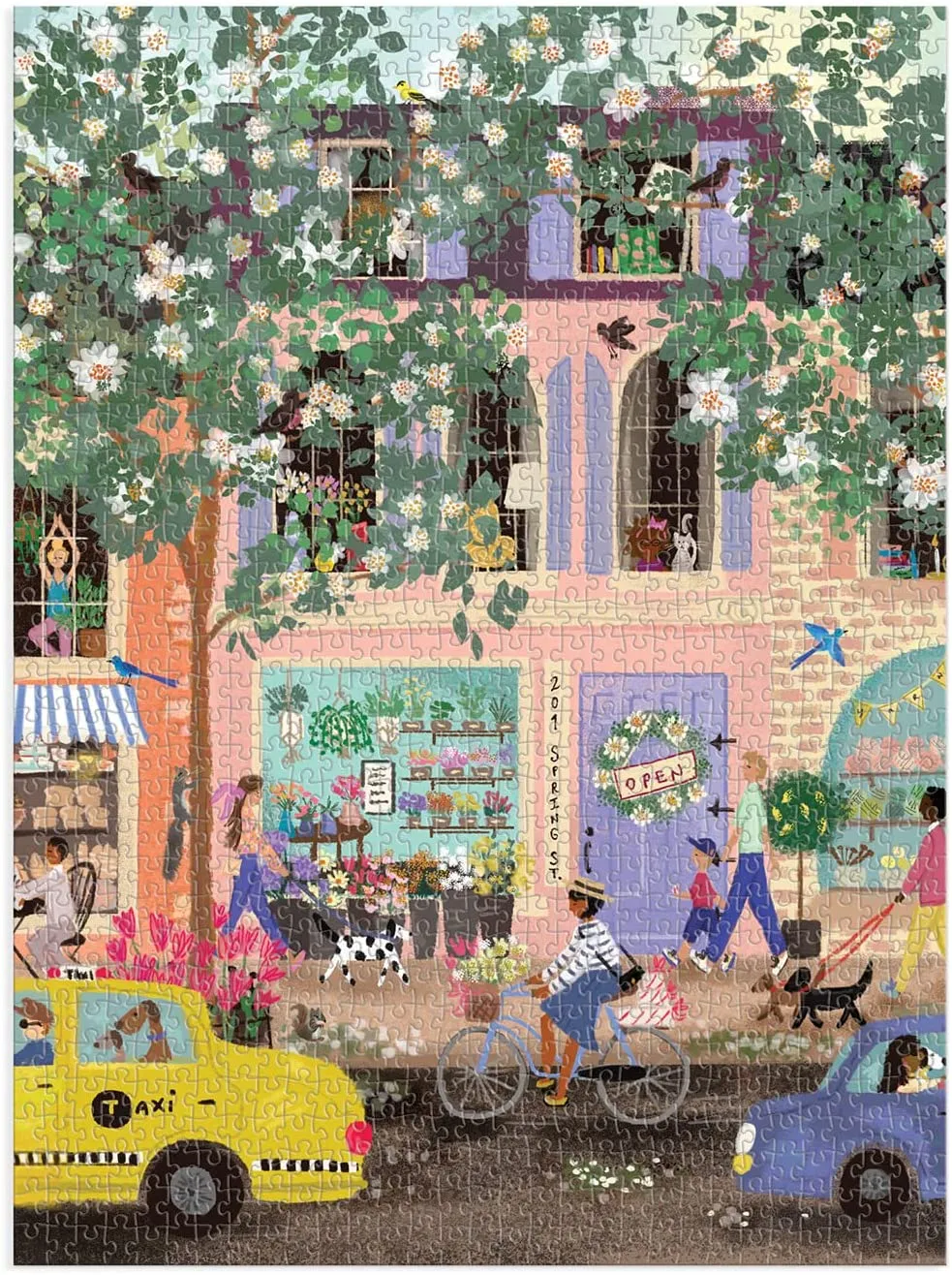 Spring Street Puzzle