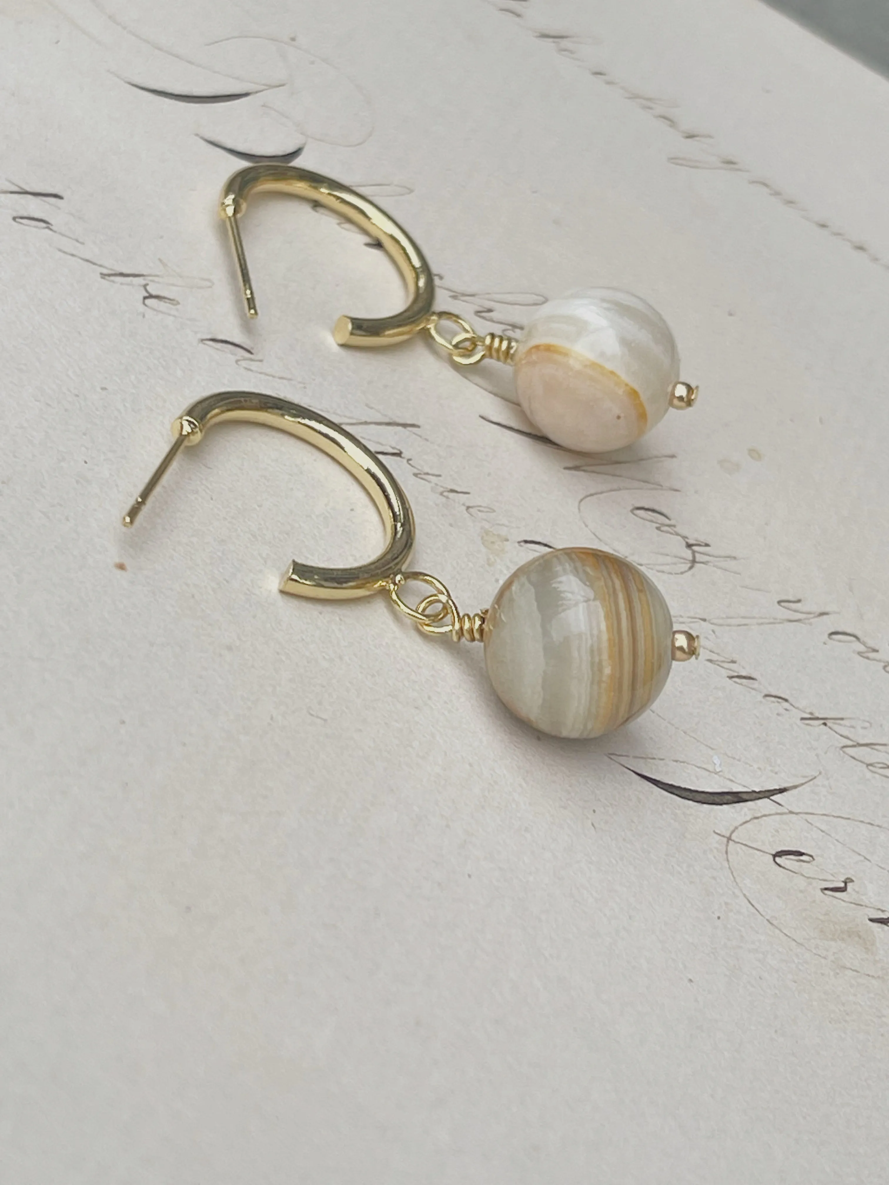 Stop Asking People To Be Polite To The People Hurting Them Earrings.