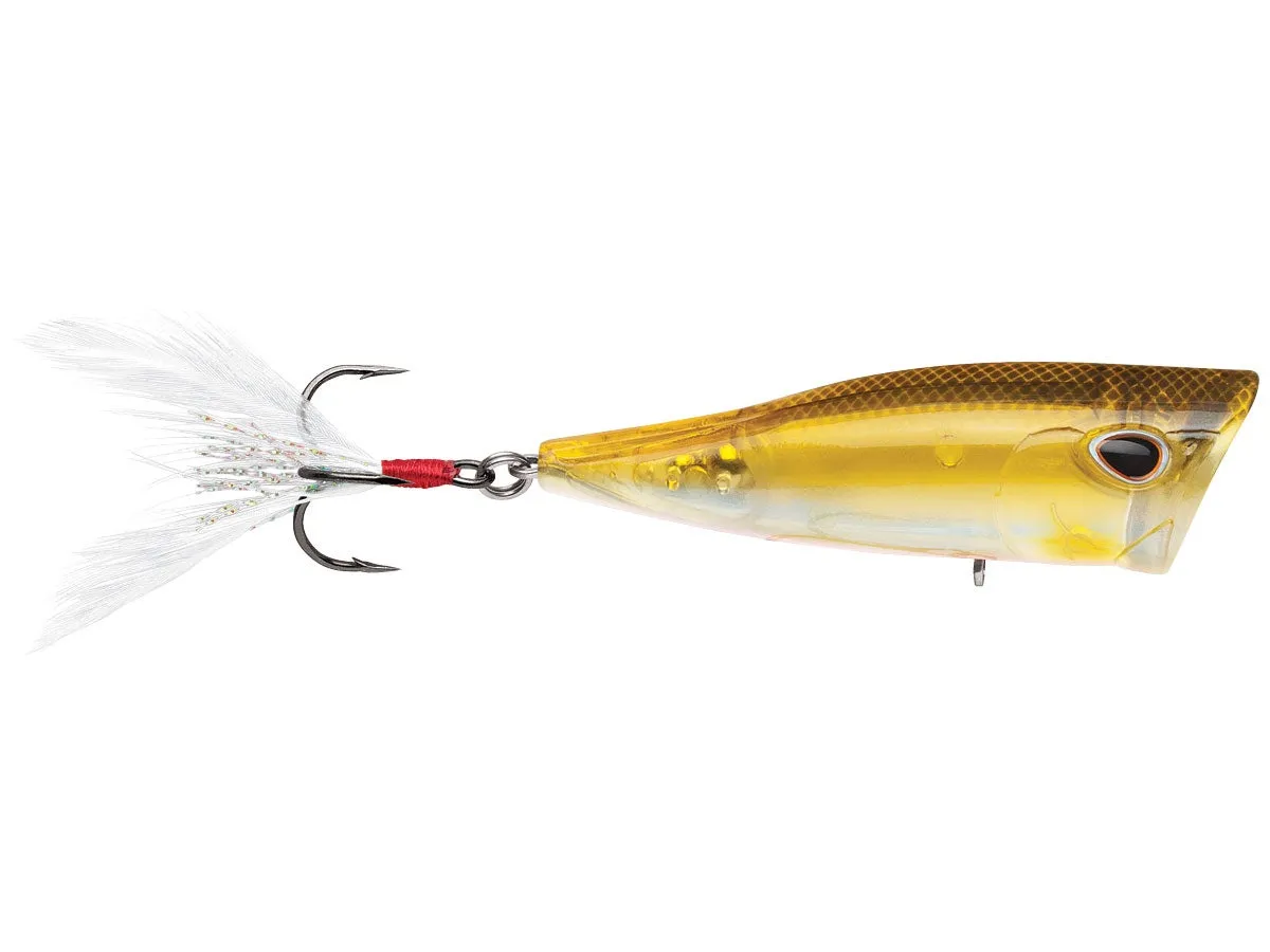 Storm Arashi Cover Pop 3 1/8 inch Topwater Popper