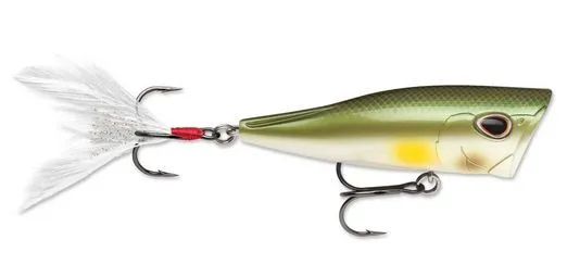 Storm Arashi Cover Pop 3 1/8 inch Topwater Popper