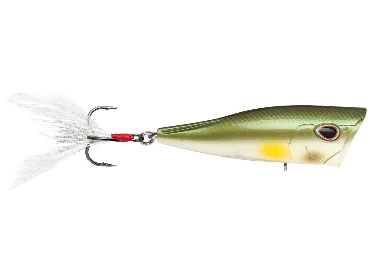 Storm Arashi Cover Pop 3 1/8 inch Topwater Popper