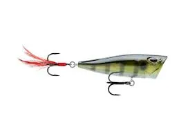 Storm Arashi Cover Pop 3 1/8 inch Topwater Popper