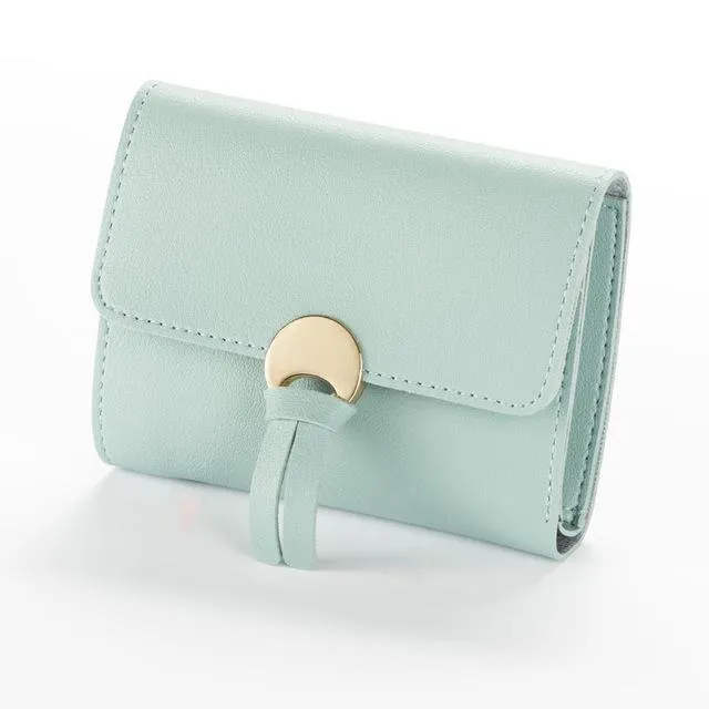 Super Cute Wallet Organizer