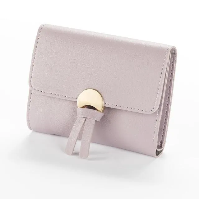 Super Cute Wallet Organizer
