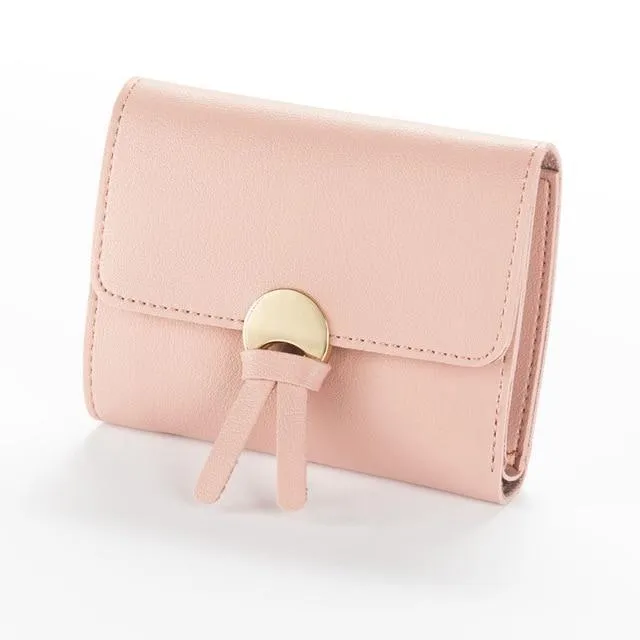 Super Cute Wallet Organizer