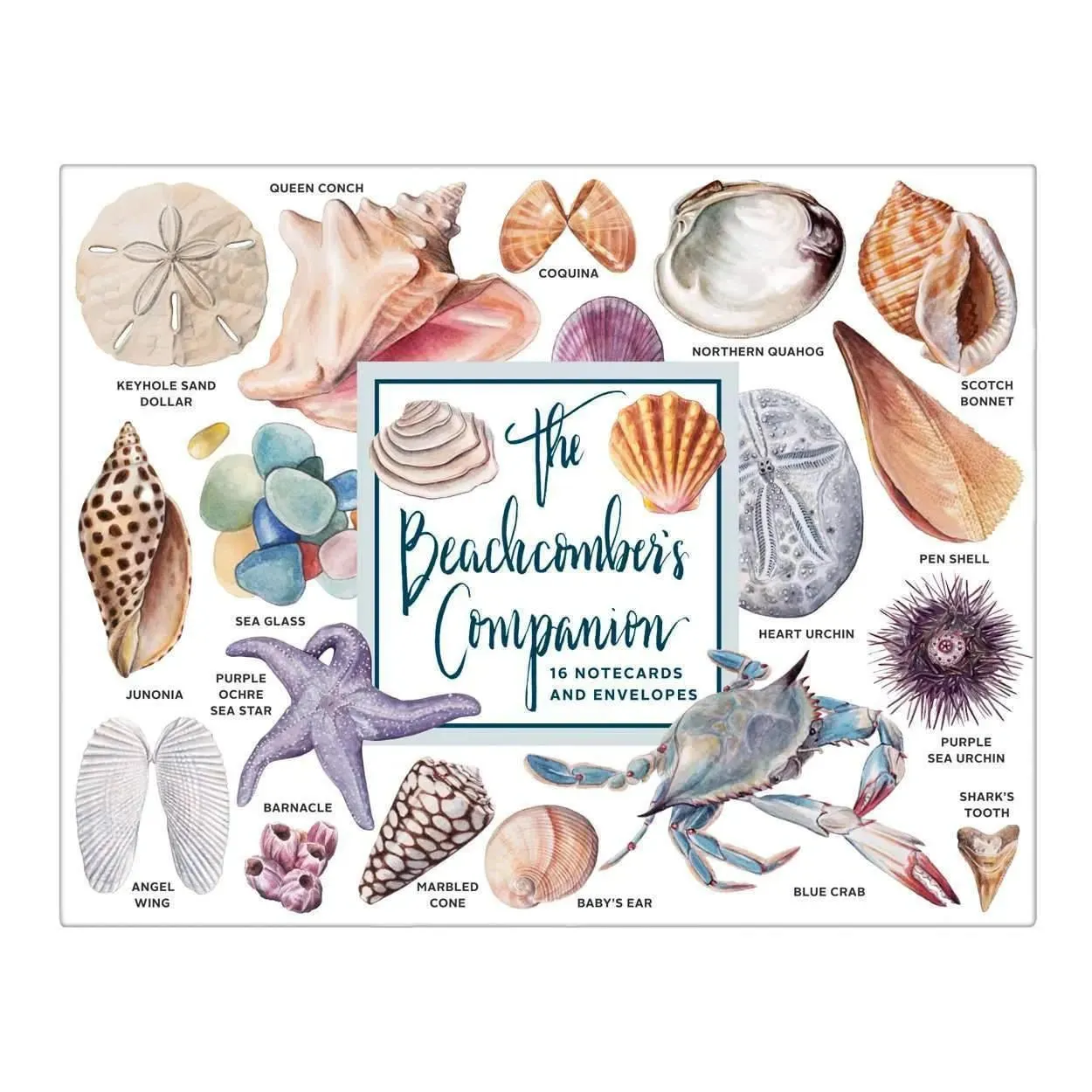 The Beachcomber's Companion Greeting Assortment Notecards
