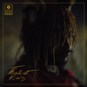 Thundercat - It Is What It Is CD
