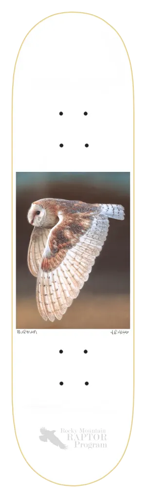 ZERO BURMAN OWL 8.375" SKATEBOARD DECK