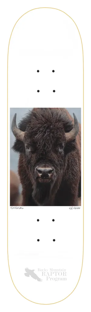 ZERO SANDOVAL BUFFALO 8.25" SKATEBOARD DECK